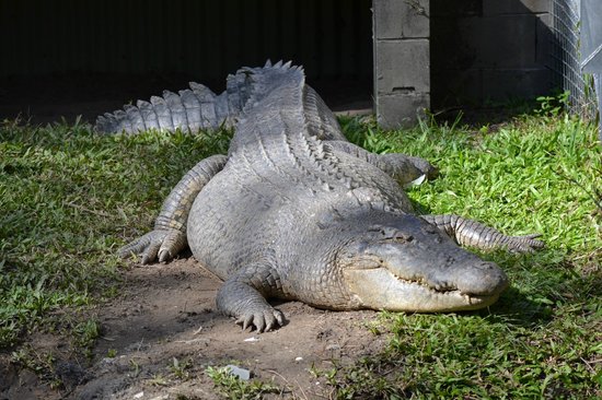 デビッド フレイ ワイルドライフパーク