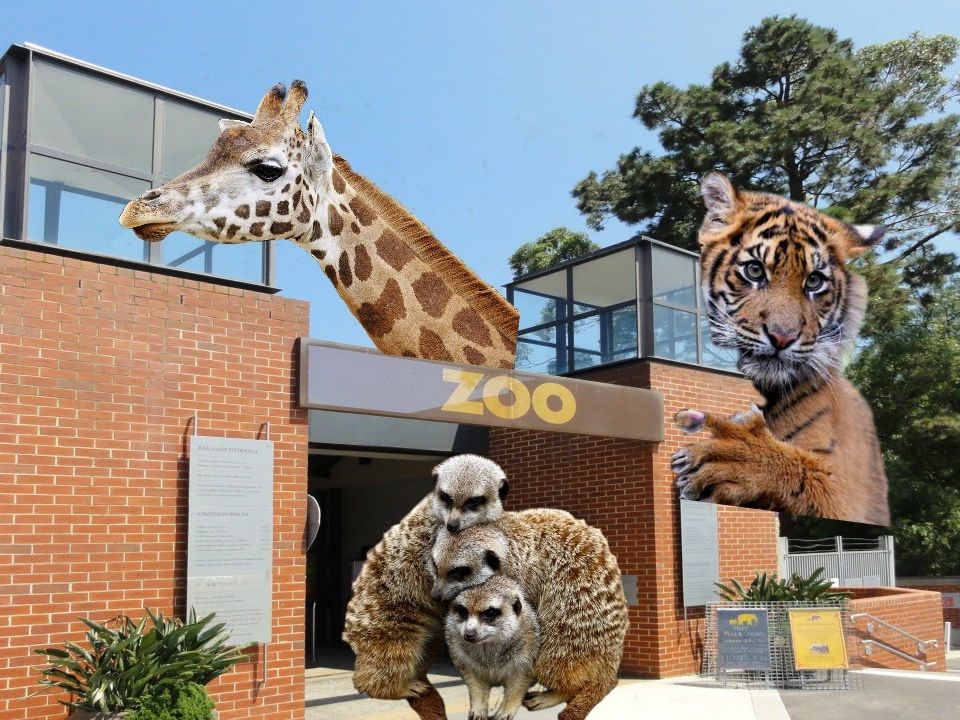 動物園・水族館の街メルボルン