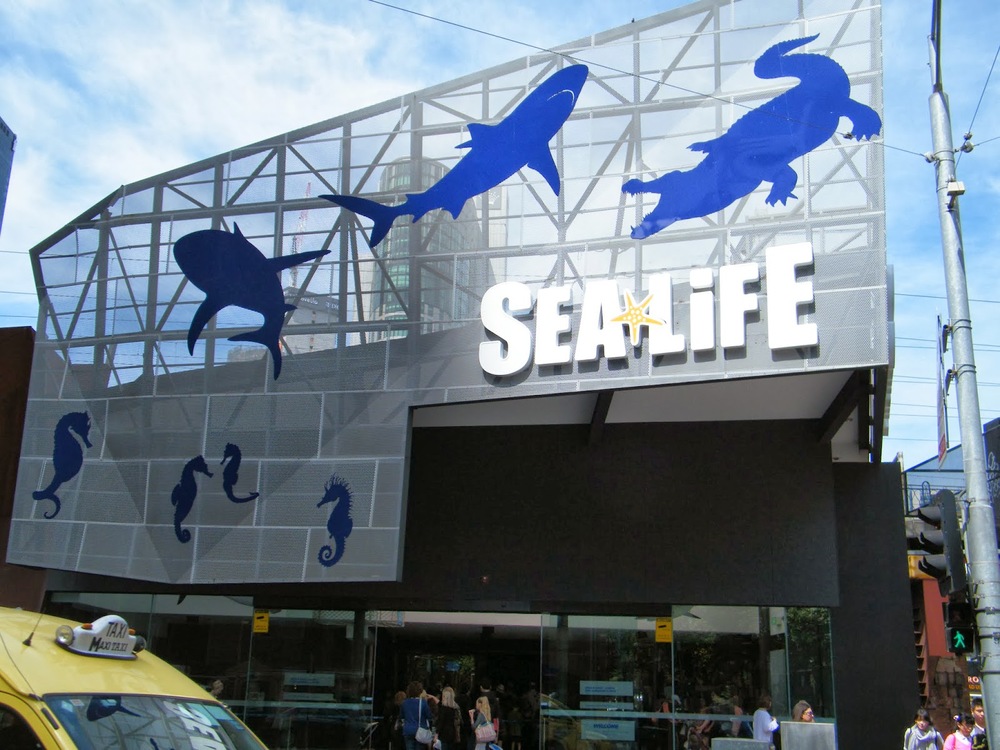 シーライフ・メルボルン水族館