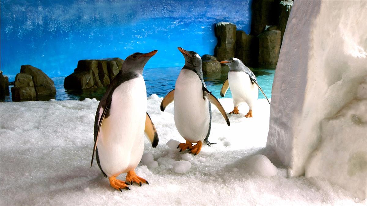 シーライフ・メルボルン水族館