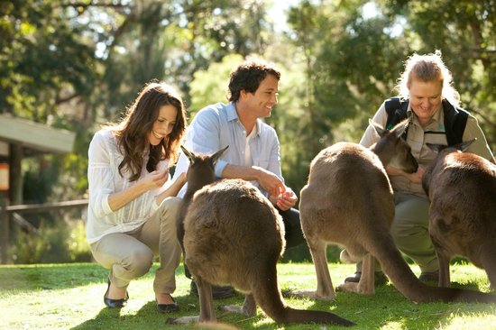 ヒールズビル自然動物園